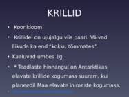 Krevetid ja krillid #7
