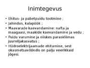 Okasmetsad #14
