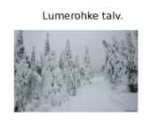 Okasmetsad #4