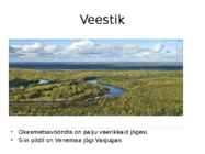 Okasmetsad #5