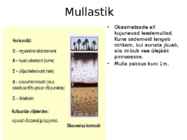 Okasmetsad #6