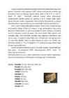 Indium #2