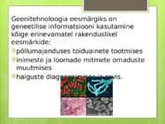 Bakterite kasutamine geenitehnoloogias #3