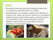 Bakterite kasutamine geenitehnoloogias #6