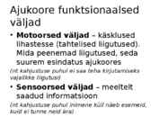 Aju ehitus ja funktsioneerimine #11