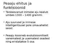 Aju ehitus ja funktsioneerimine #4