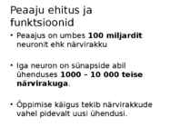Aju ehitus ja funktsioneerimine #5