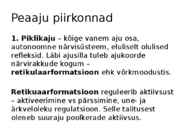 Aju ehitus ja funktsioneerimine #6