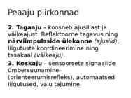 Aju ehitus ja funktsioneerimine #7