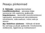 Aju ehitus ja funktsioneerimine #8