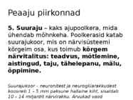 Aju ehitus ja funktsioneerimine #9