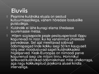 Laululinnud #13