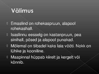 Laululinnud #17