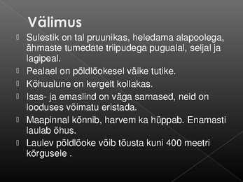 Laululinnud #24