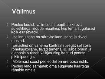 Laululinnud #37