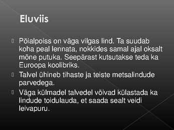 Laululinnud #51