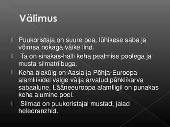 Laululinnud #55