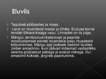 Laululinnud #7