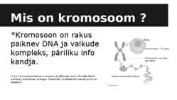 Sugukromosoomide arvude muutus #2