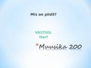 Kuldvillak #17