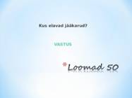 Kuldvillak #22