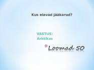 Kuldvillak #23