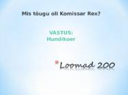 Kuldvillak #27