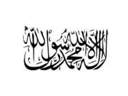 Taliban #2
