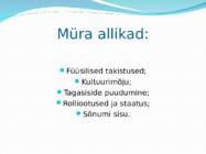 Käitumine suhtlemissituatsioonides #29