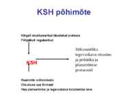 Keskkonnamõju-Strateegiline hindamine #4