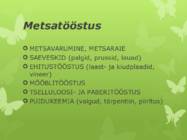 Brasiilia #12