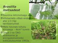 Brasiilia #10