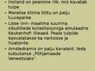 Hollandi põllumajandus #5