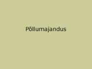 Hollandi põllumajandus