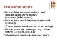 Käeseen #4