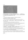 GEOGRAAFIA gümnaasium töövihik #3