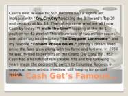 JOHNNY CASH #7