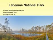 Places to visit in Estonia #6