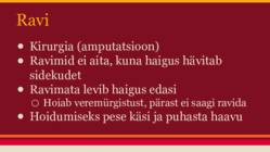 Lihasööjabakteri esitlus #8
