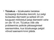PUIDURIKKED #112