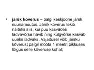 PUIDURIKKED #23