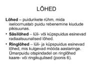 PUIDURIKKED #26