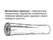 PUIDURIKKED #34