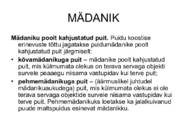 PUIDURIKKED #37