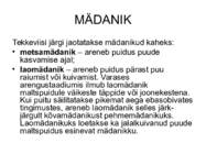 PUIDURIKKED #38