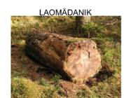 PUIDURIKKED #39