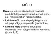 PUIDURIKKED #47