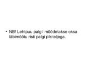 PUIDURIKKED #71