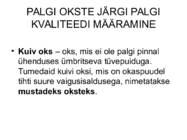 PUIDURIKKED #75