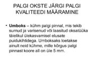 PUIDURIKKED #85